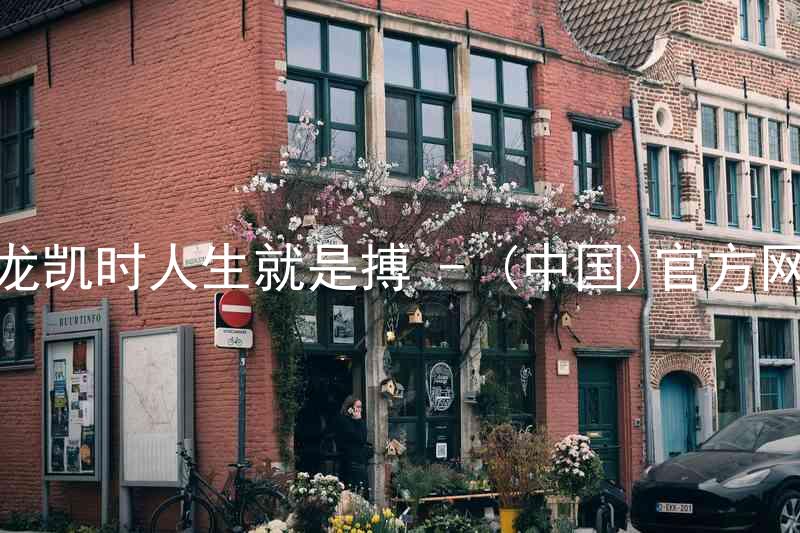 尊龙凯时人生就是搏 - (中国)官方网站